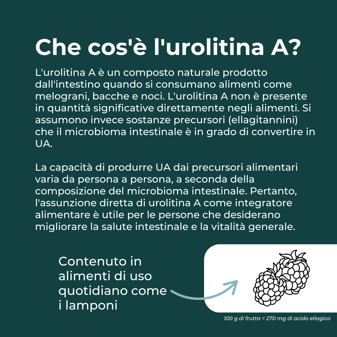 Urolitina A cos'è