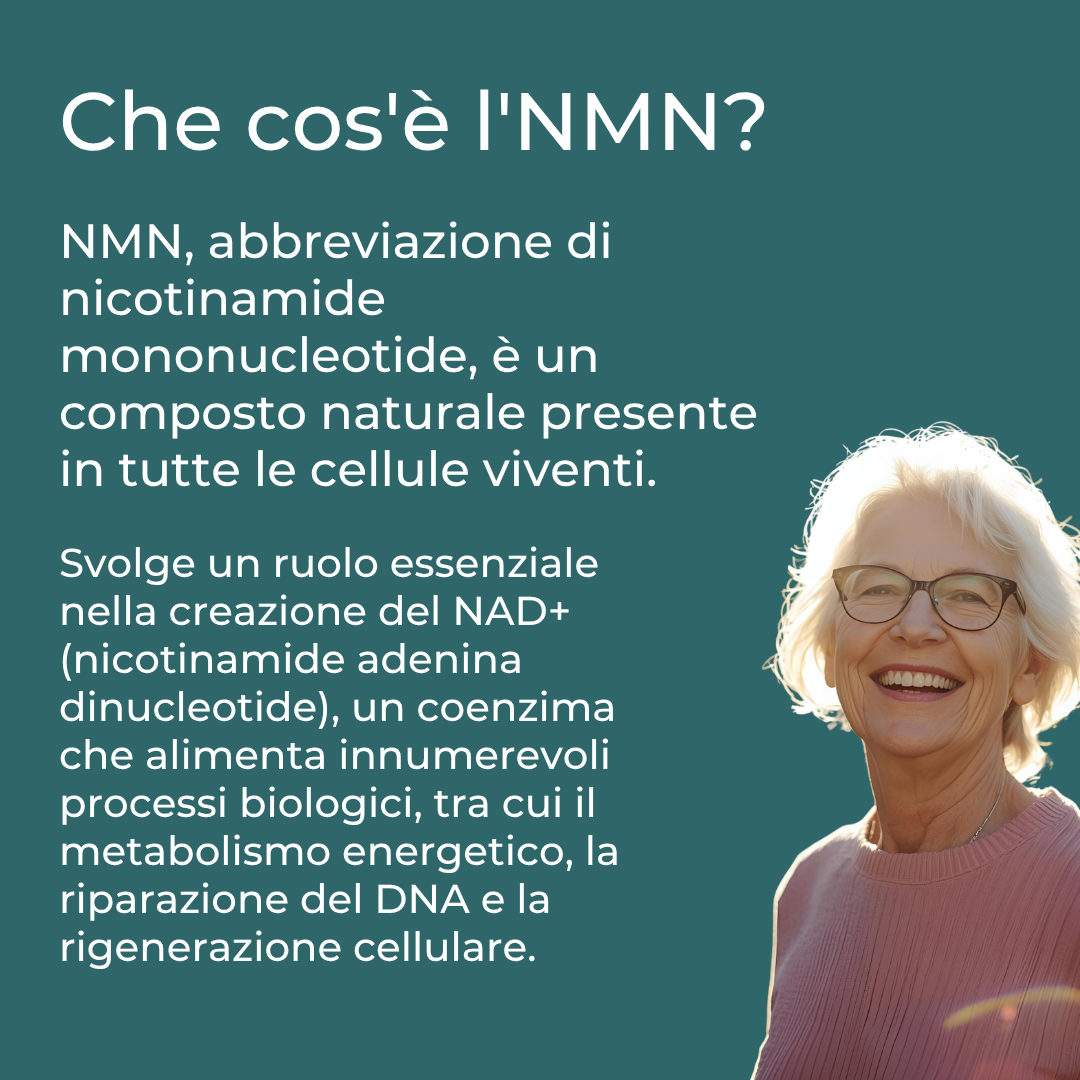 cos'è NMN