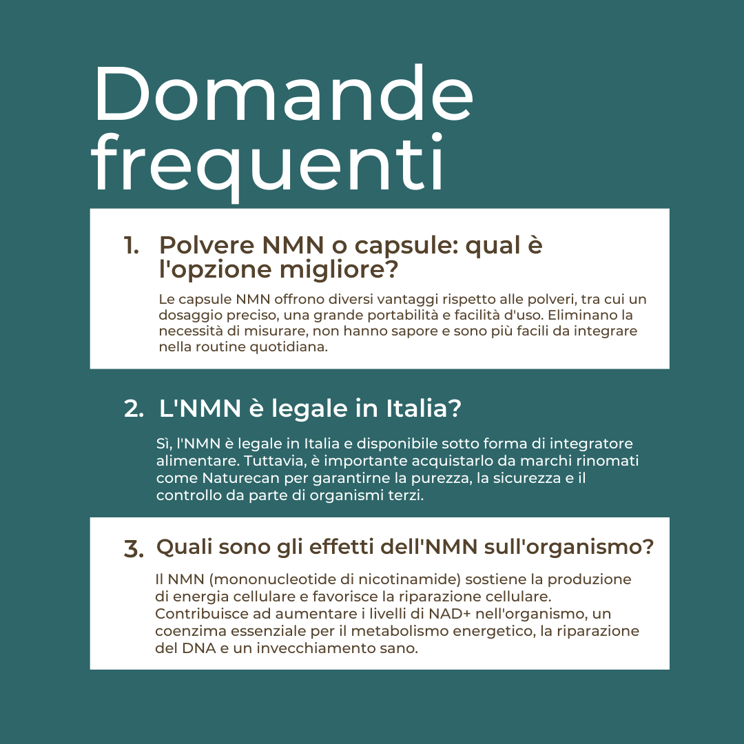 NMN FAQ