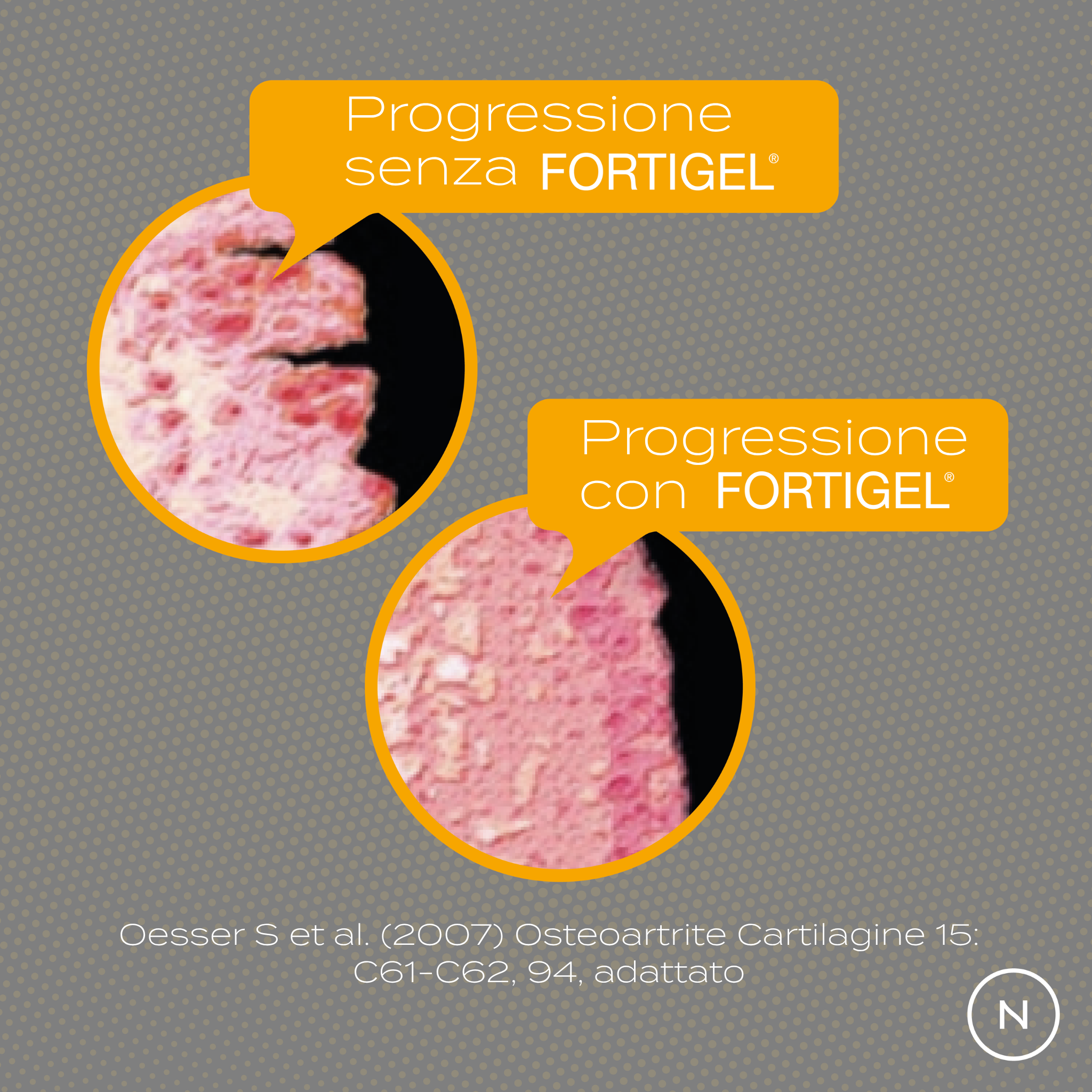 Peptidi di Collagene effetti