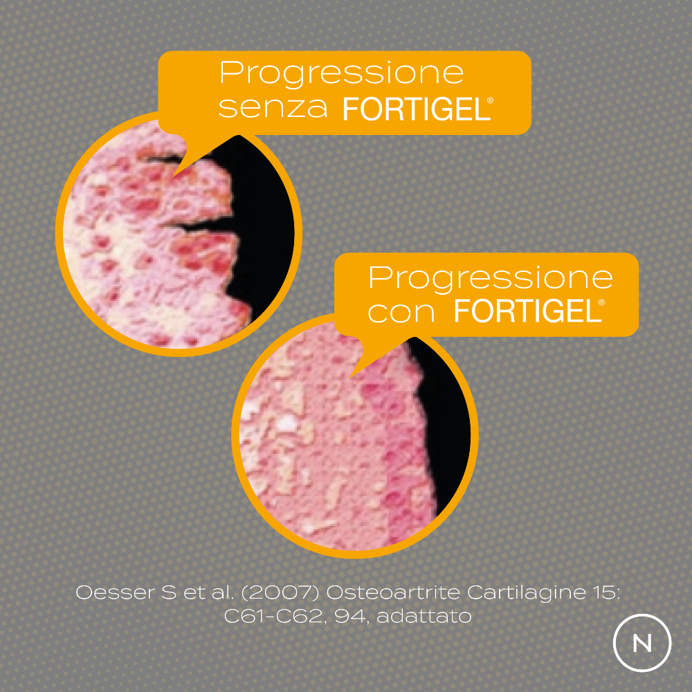 Peptidi di Collagene effetti