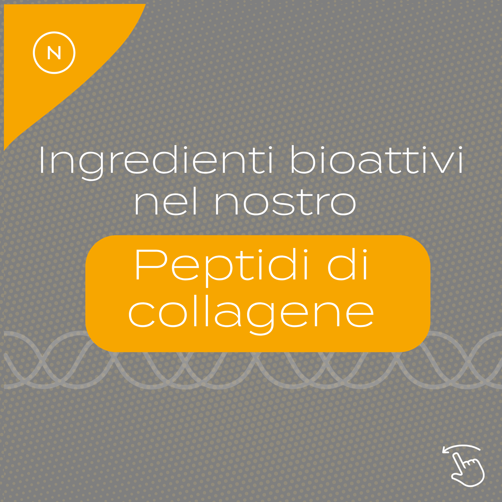 Peptidi di Collagene ingredienti