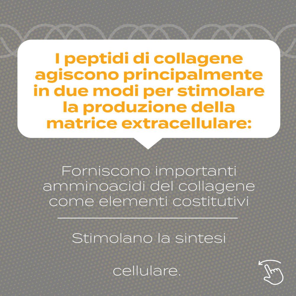 Peptidi di Collagene amminoacidi