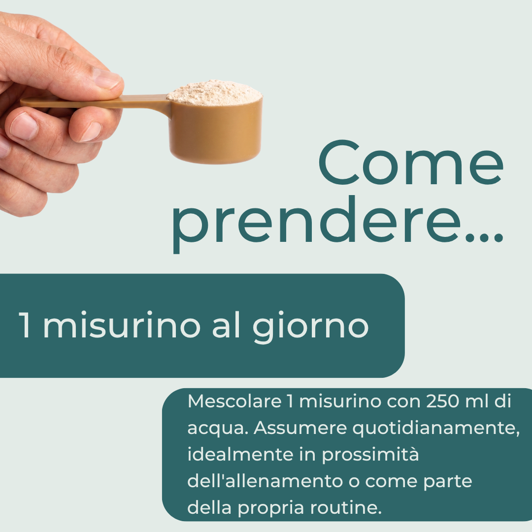 Creatina Monoidrato dose giornaliera