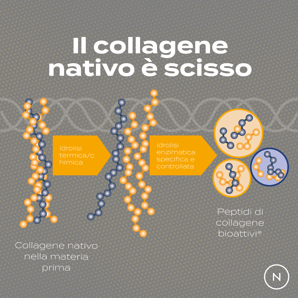 Peptidi di Collagene nativo