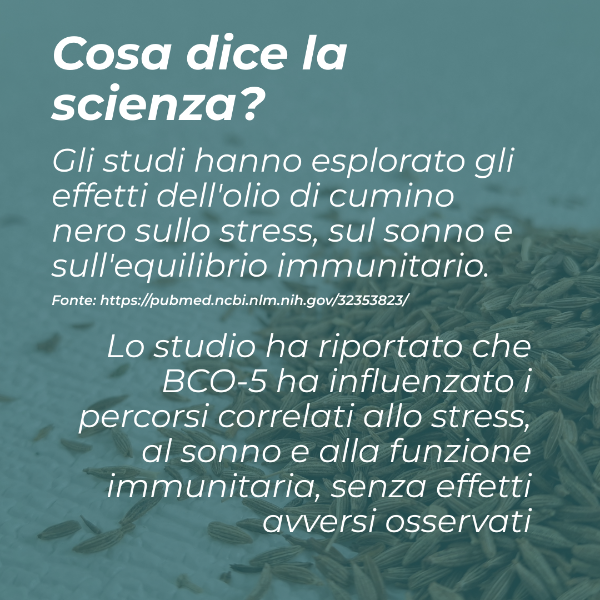 benefici olio di cumino nero