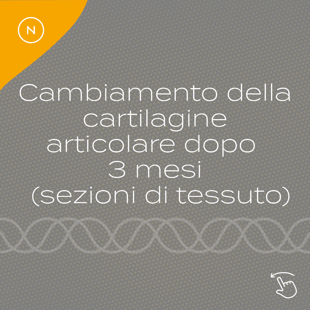 Peptidi di Collagene cartilagine benefici