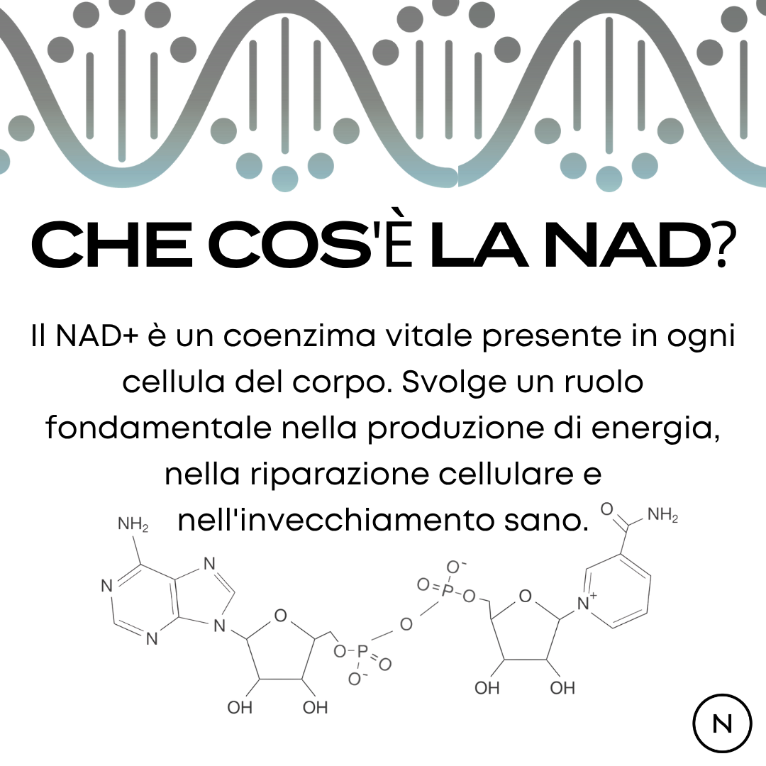 cos'è nad