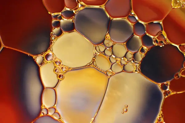 Qual è il miglior olio di CBD? Una recensione completa