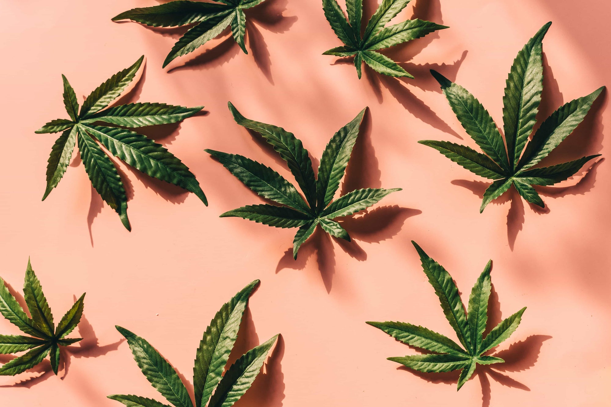 togliere l'odore della cannabis