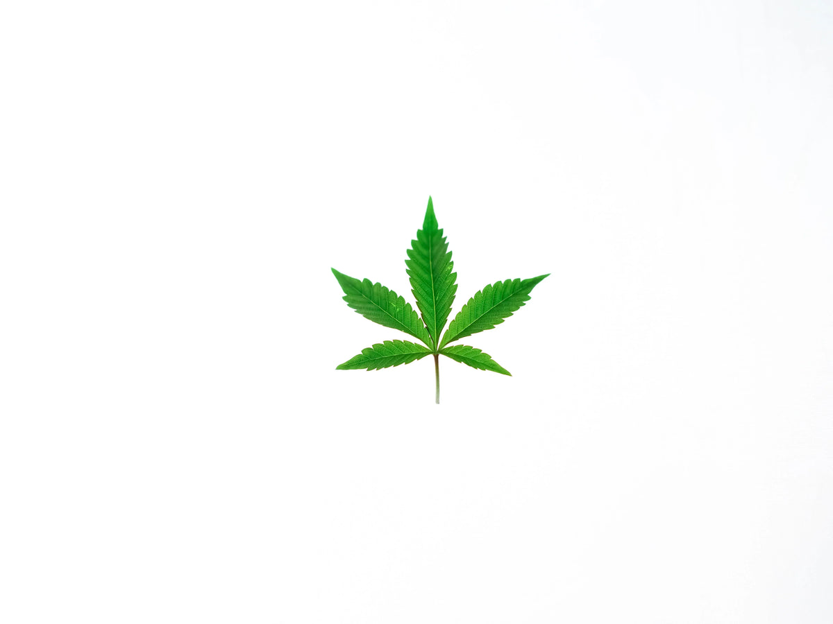  sintomi dell'astinenza da cannabis