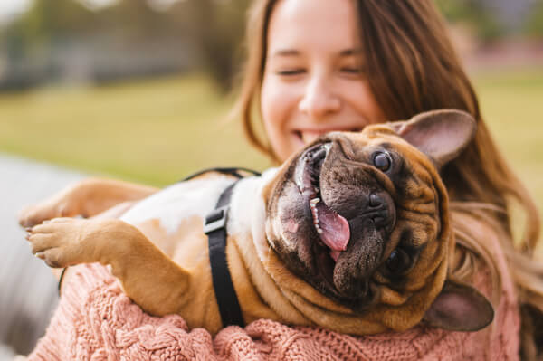 CBD per Cani