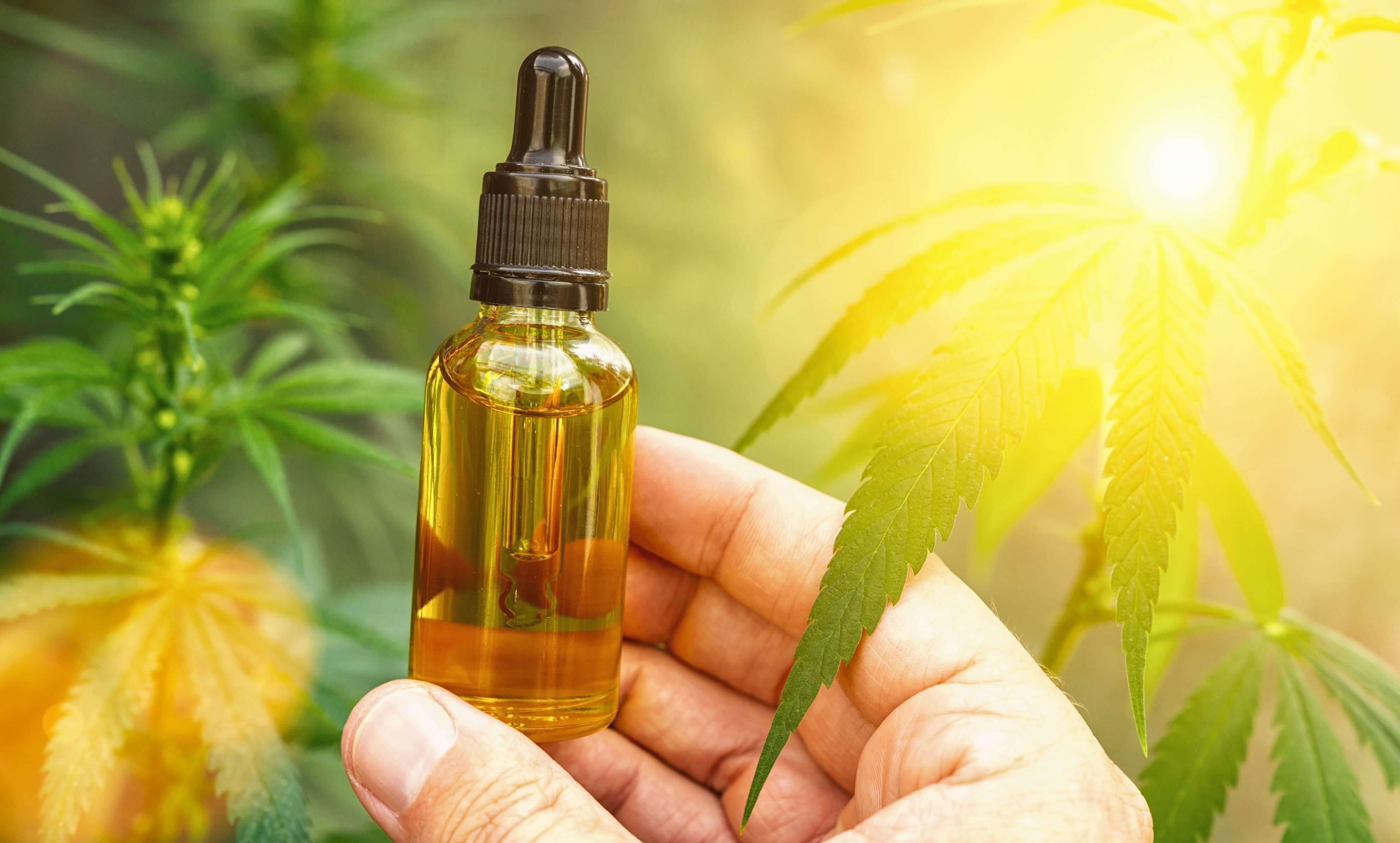 Perché acquistare CBD da Naturecan?