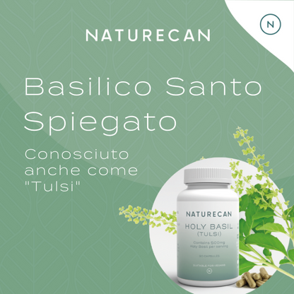 basilico sacro