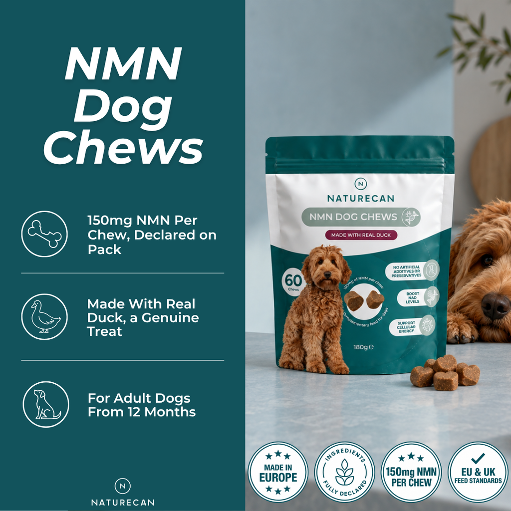 Snack Masticabili NMN per Cani