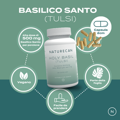 basilico santo vegano