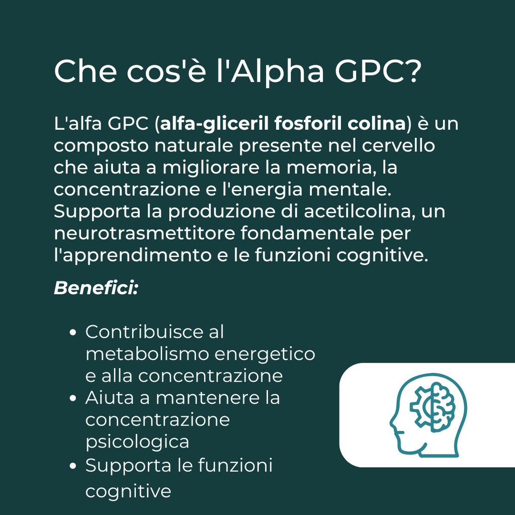 Alfa GPC capsule benefici