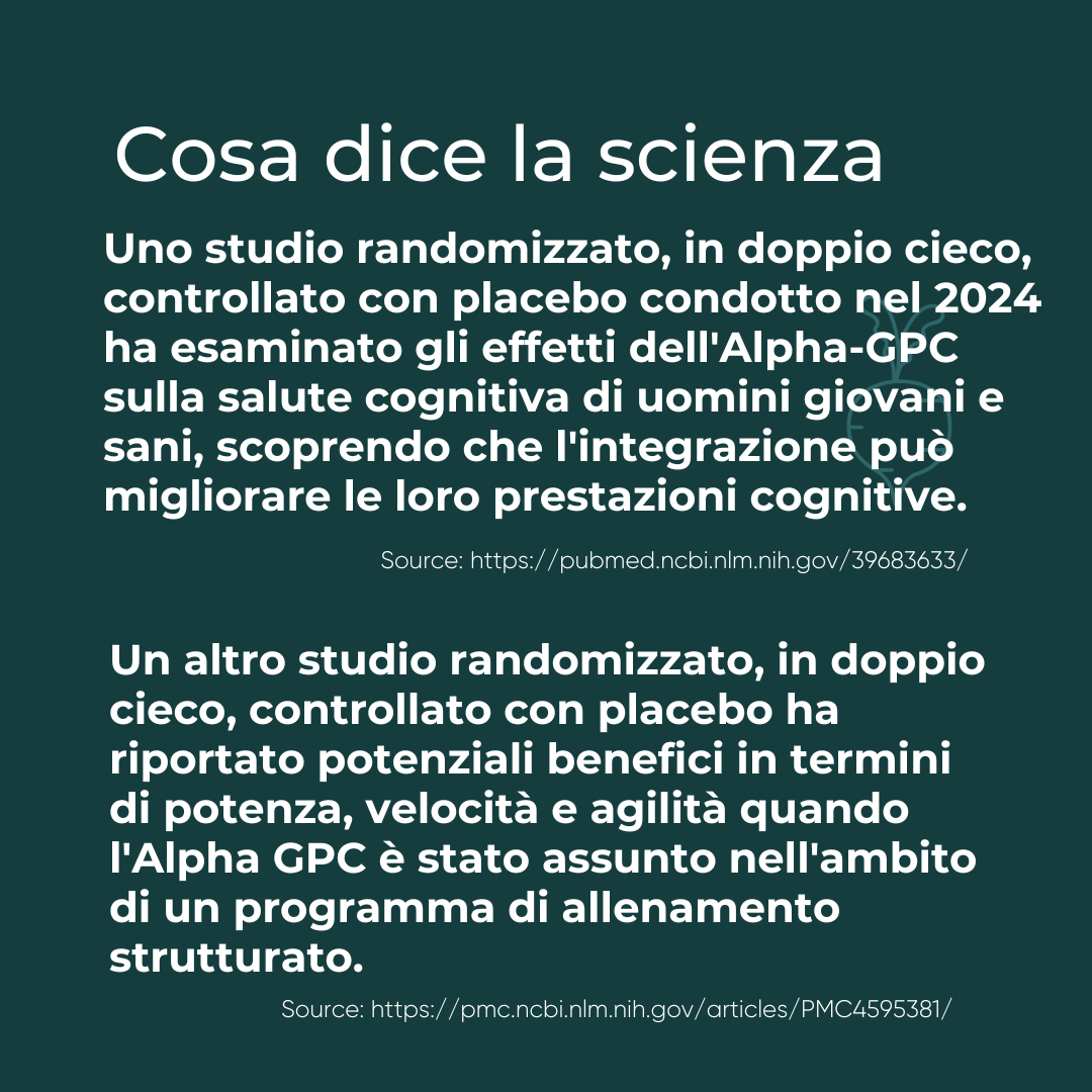 Alfa GPC capsule cos'è