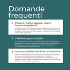 NMN FAQ