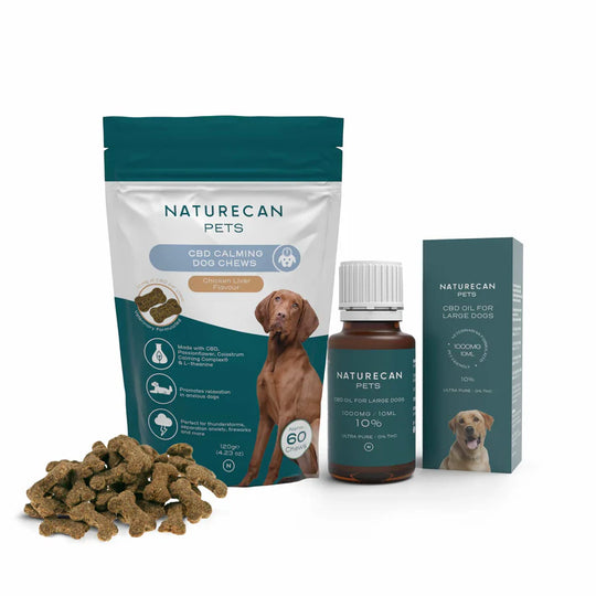 Bundle per Cane ansioso