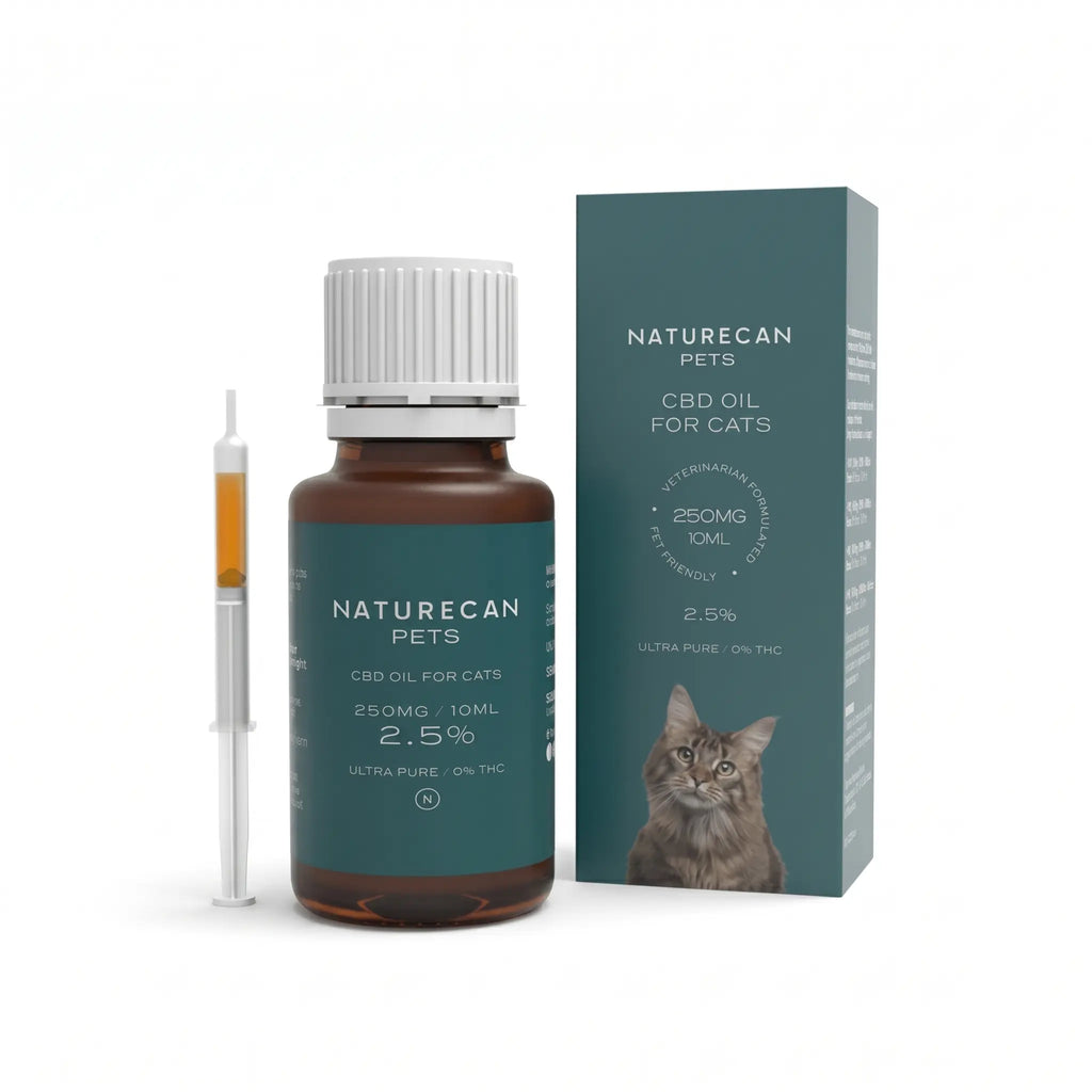 Olio CBD per Gatti