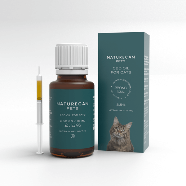 Olio CBD per Gatti
