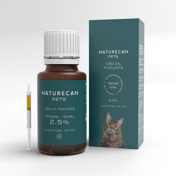 Olio CBD per Gatti