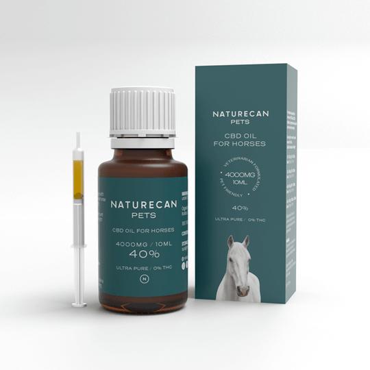 Olio di CBD per Cavalli