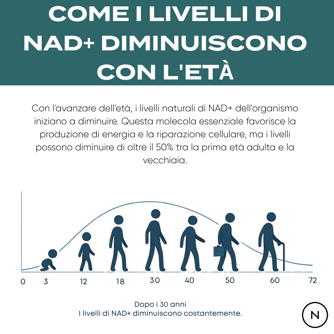 nad effetti