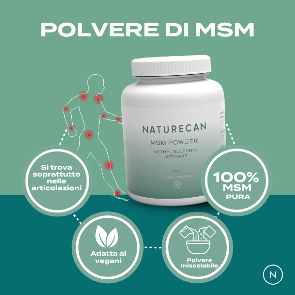 msm in polvere benefici