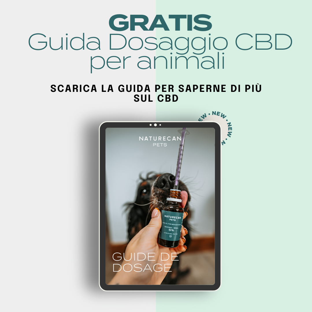 Guida Dosaggio CBD per Animali Domestici