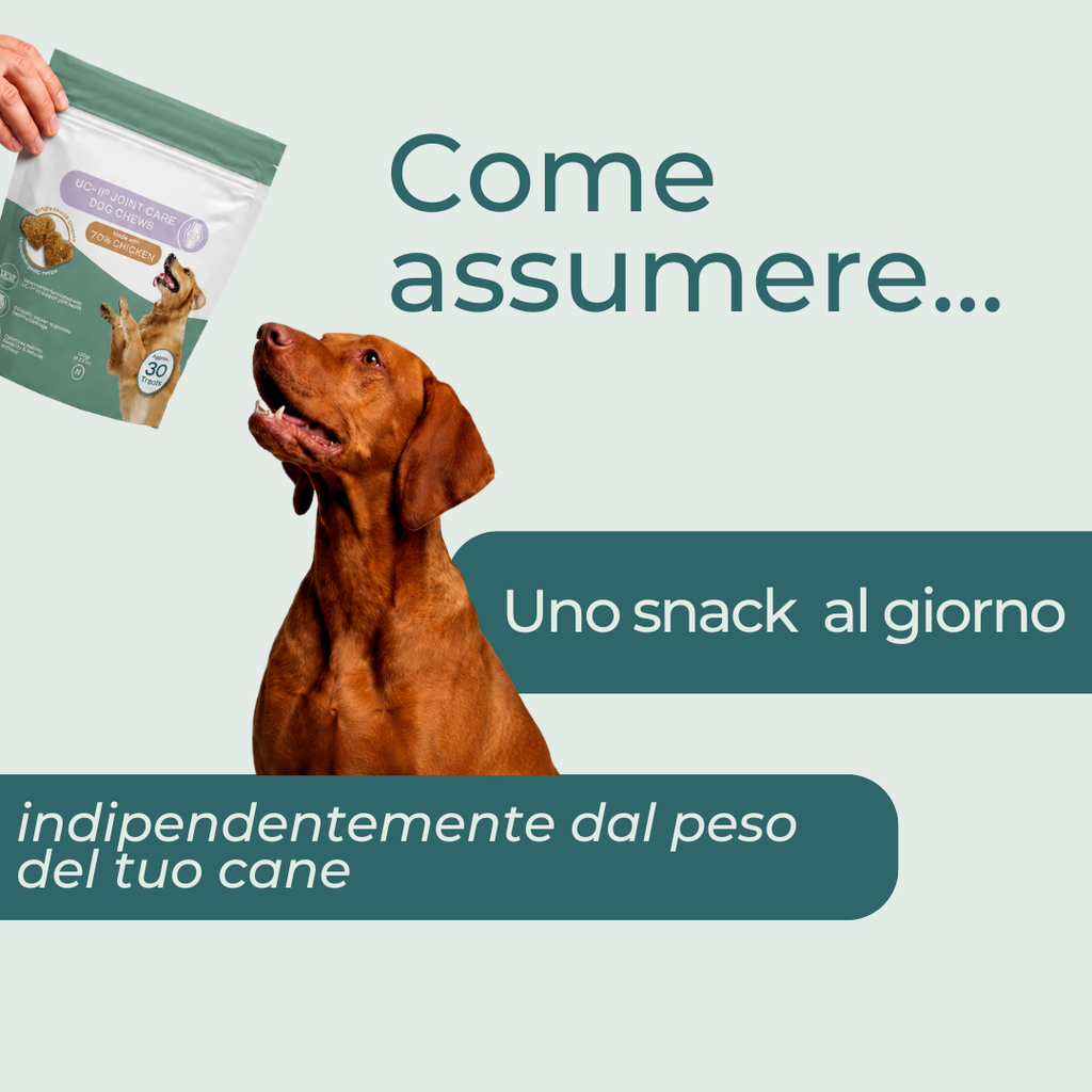Snack per cani per la cura delle articolazioni con collagene UC-II®