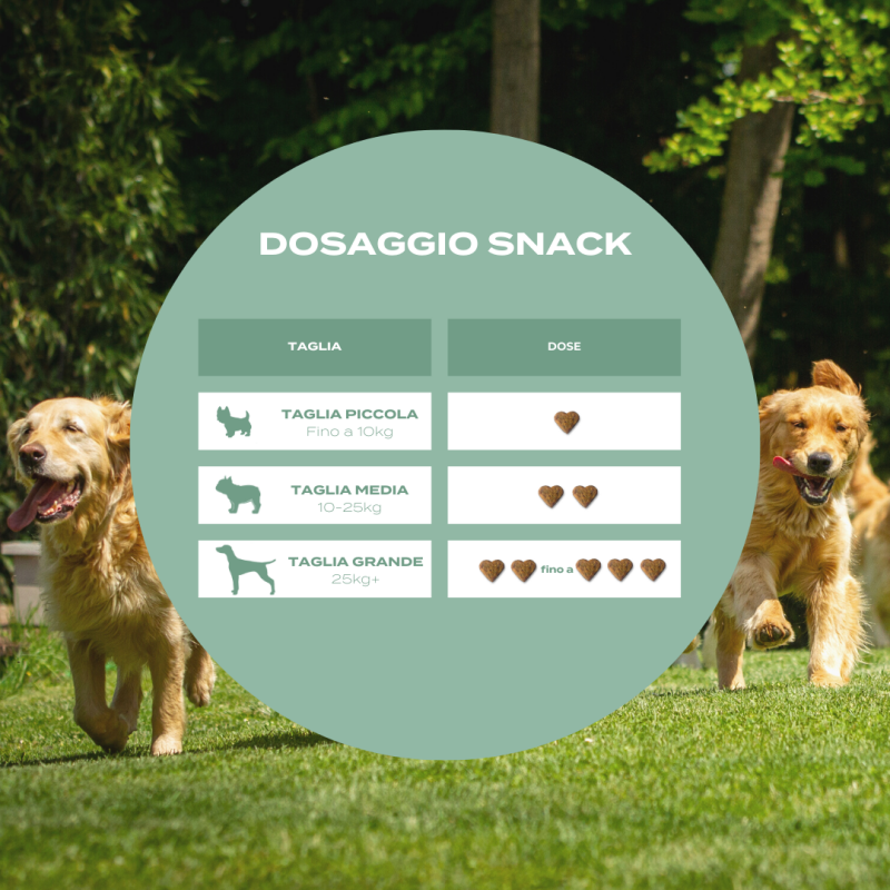 dosaggio snack cani