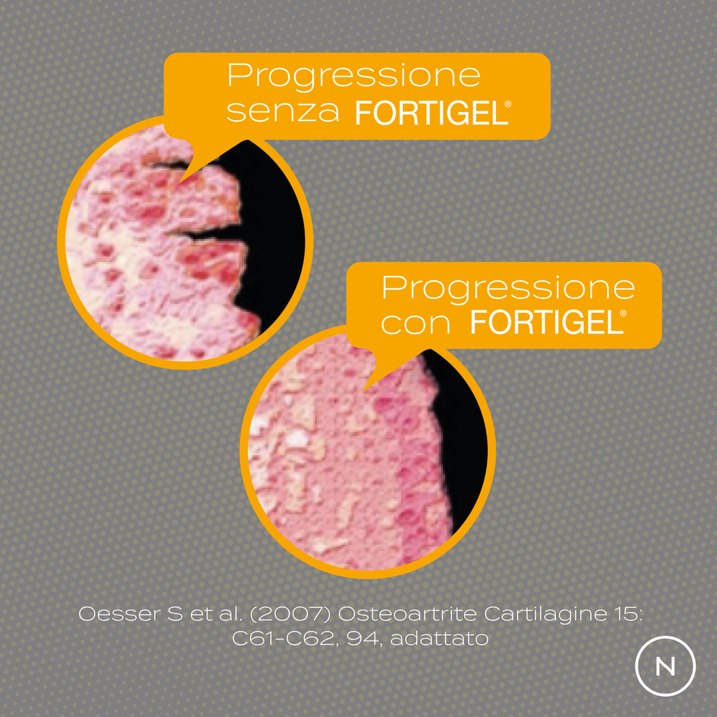 Peptidi di Collagene effetti