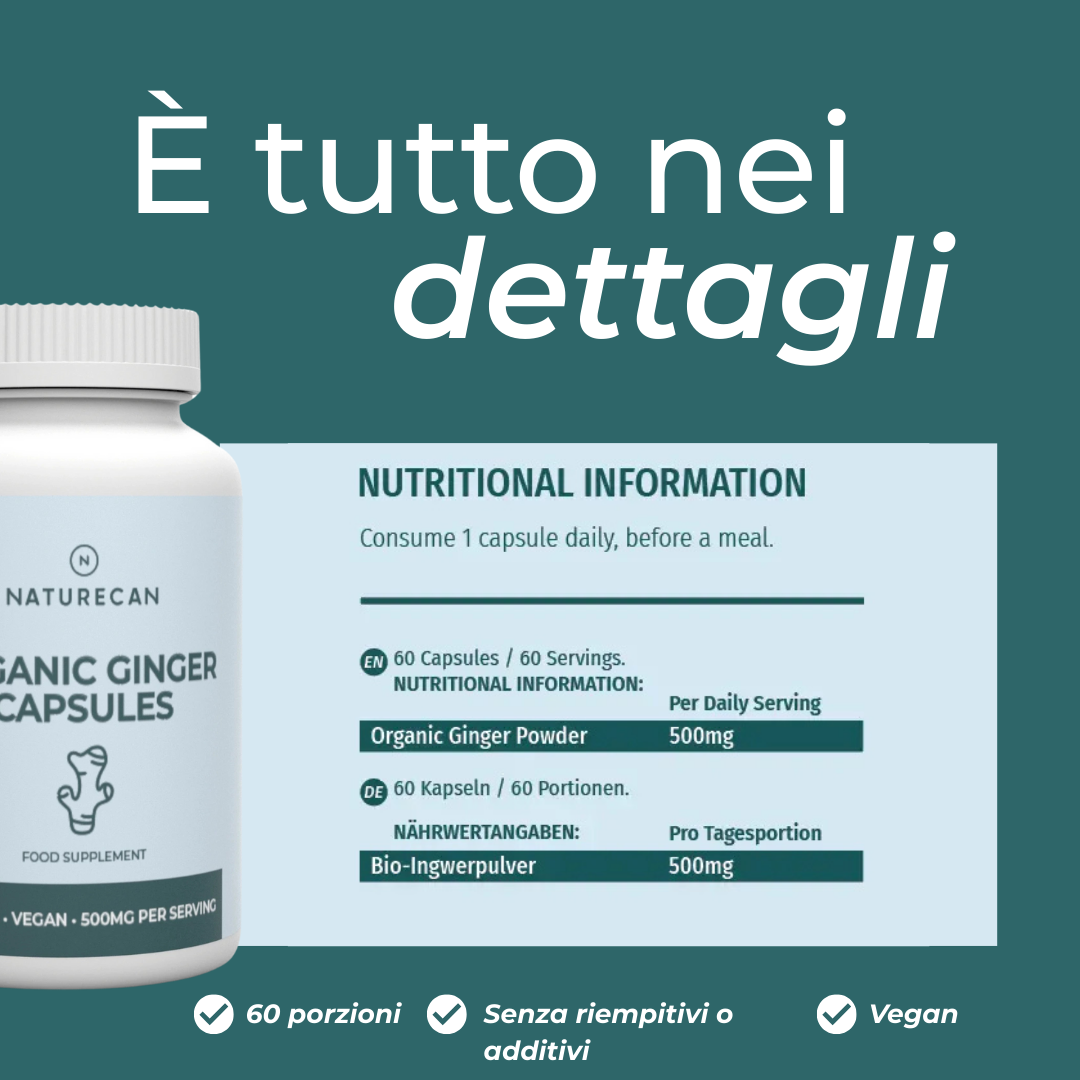 Zenzero Biologico ingredienti
