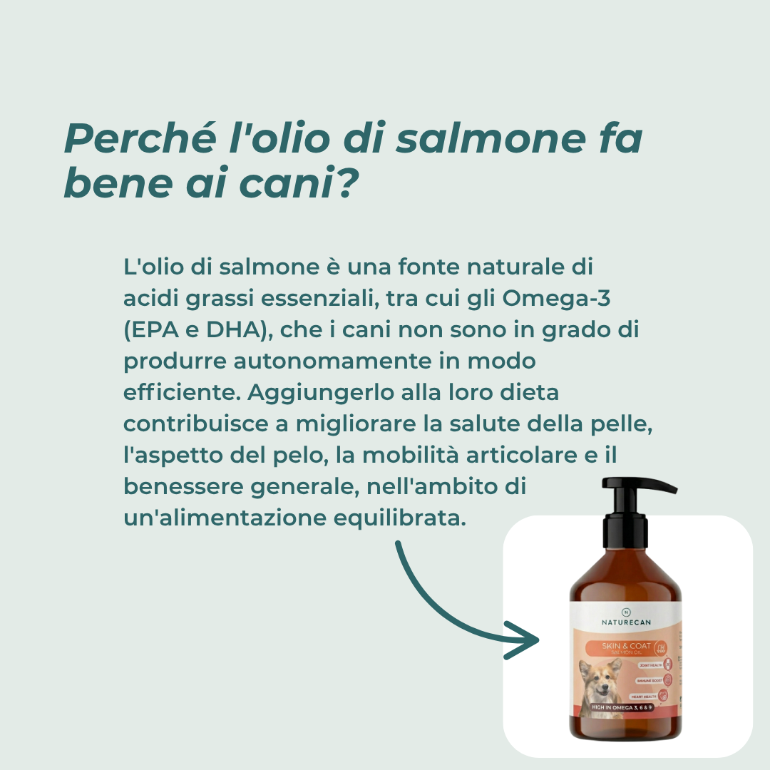 Olio di salmone per cani articolazioni per cani