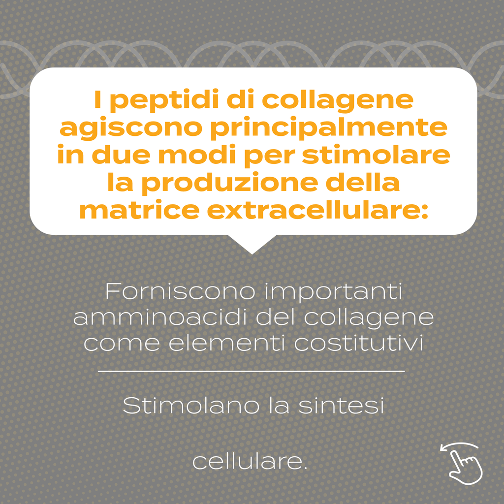 Peptidi di Collagene amminoacidi