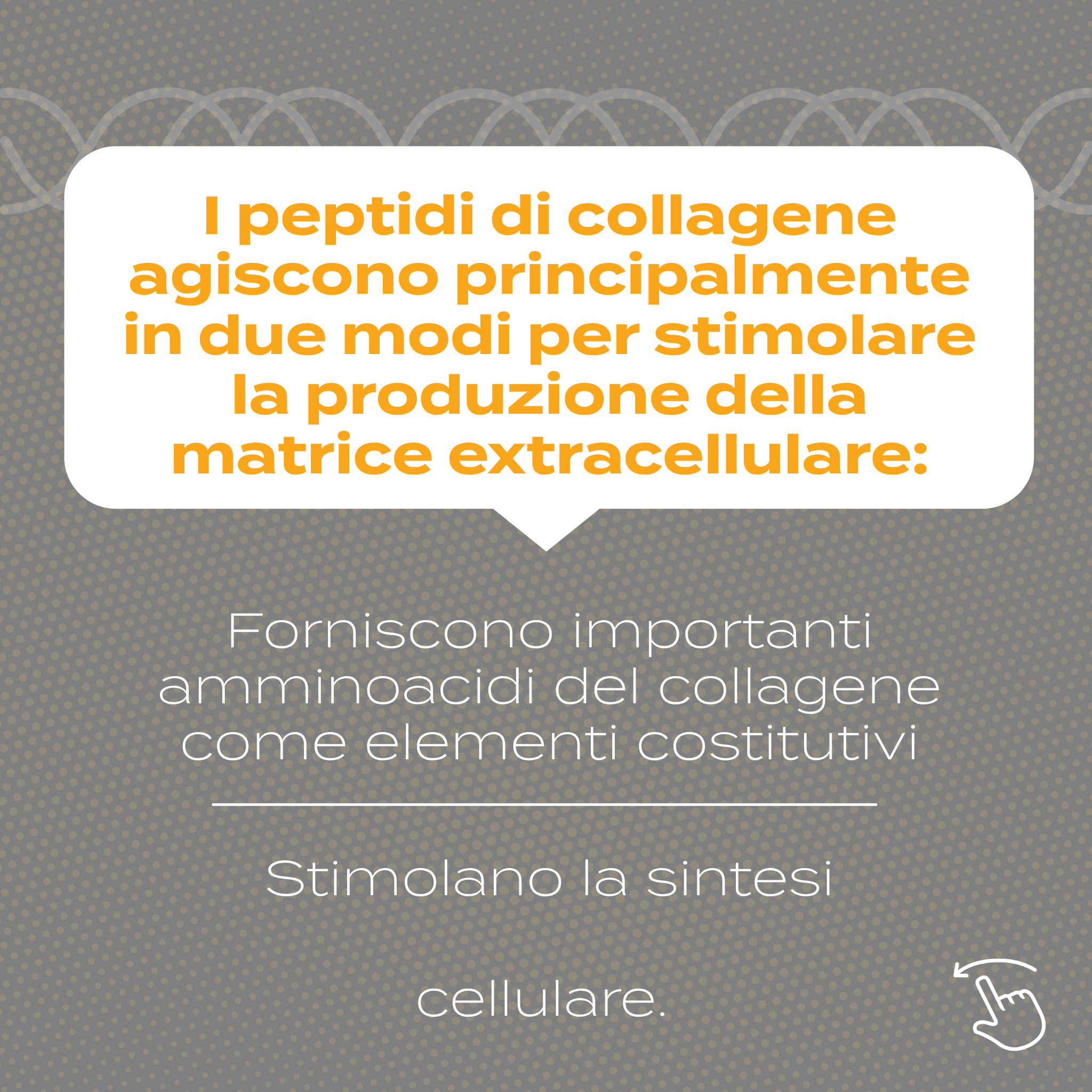 Peptidi di Collagene amminoacidi