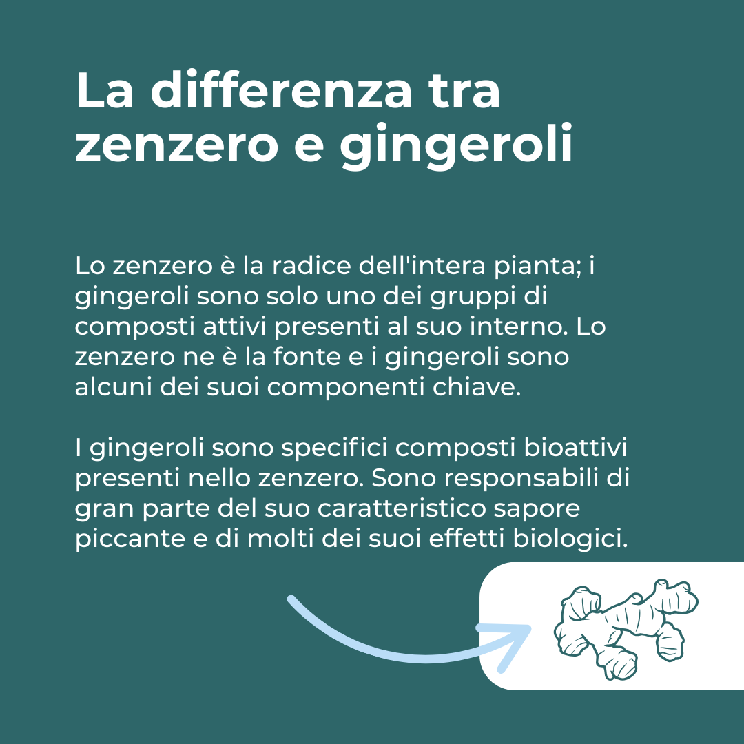 zenzero benefici