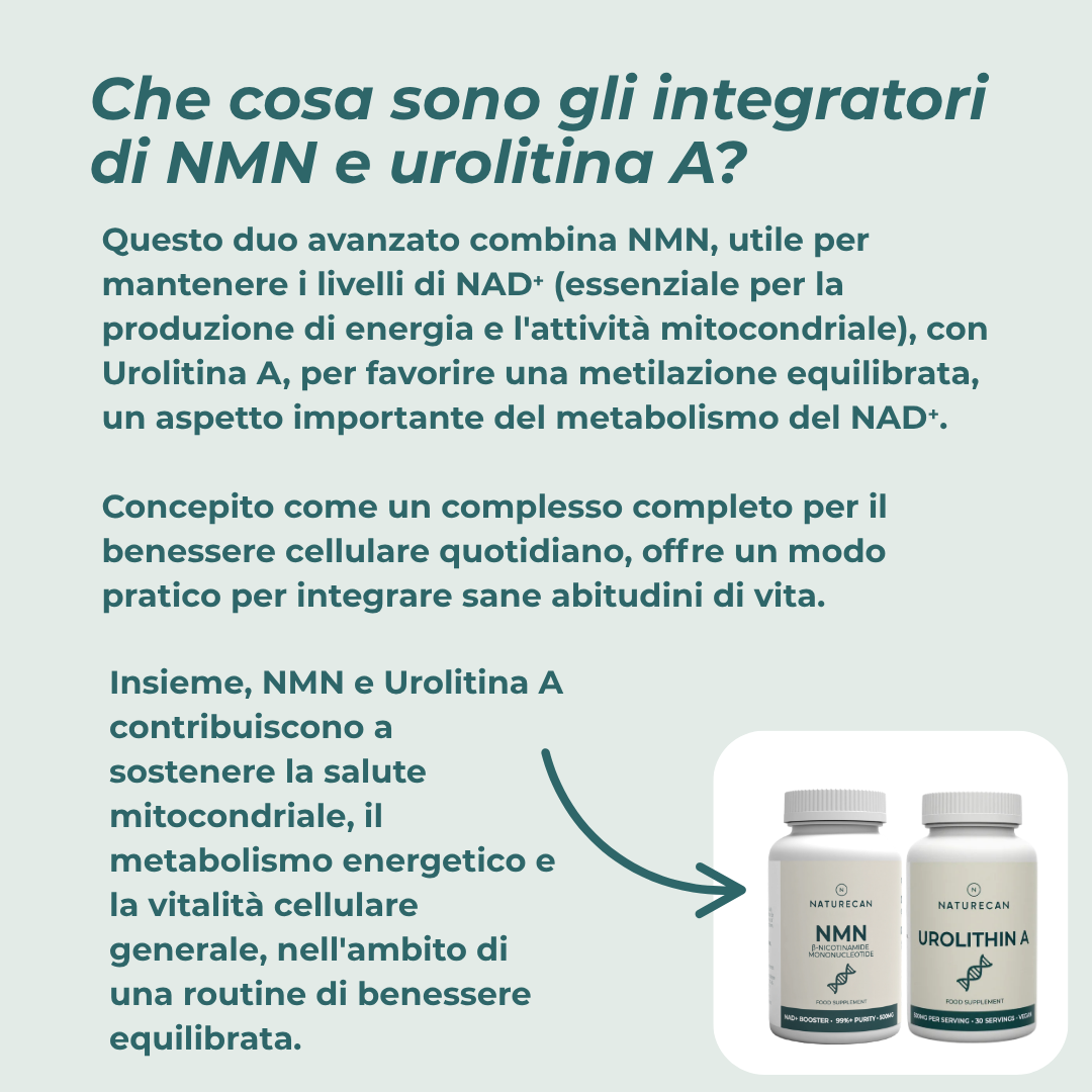  NMN e Urolitina A integratori migliori