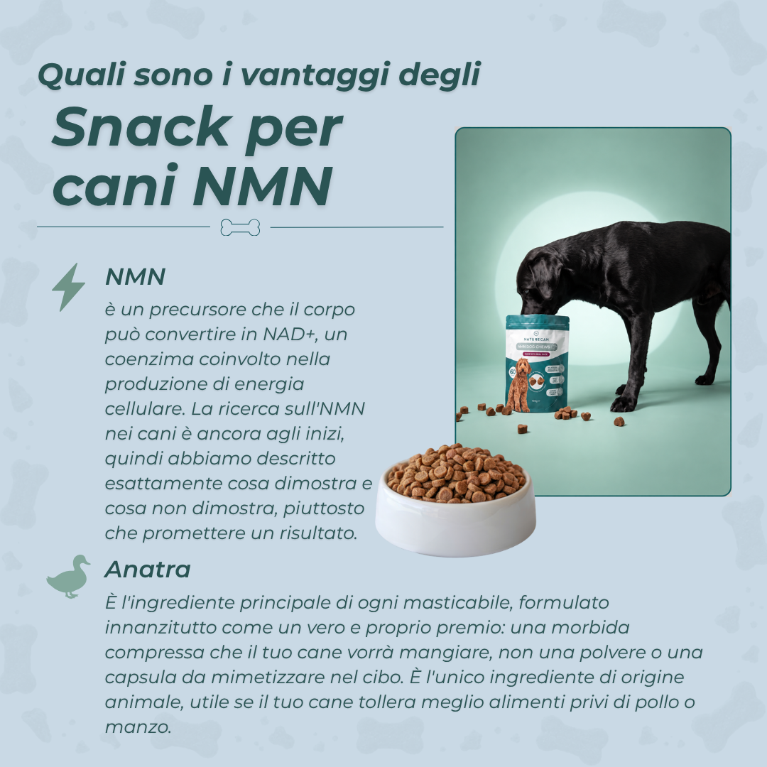 Snack Masticabili NMN per Cani benefici