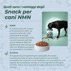 Snack Masticabili NMN per Cani benefici