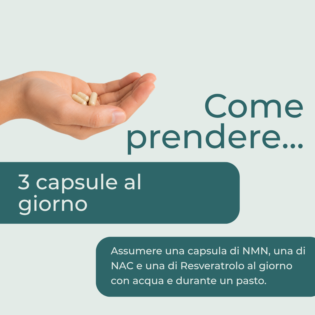 Bundle Anti-età con NMN, NAC e Resveratrolo dosaggio