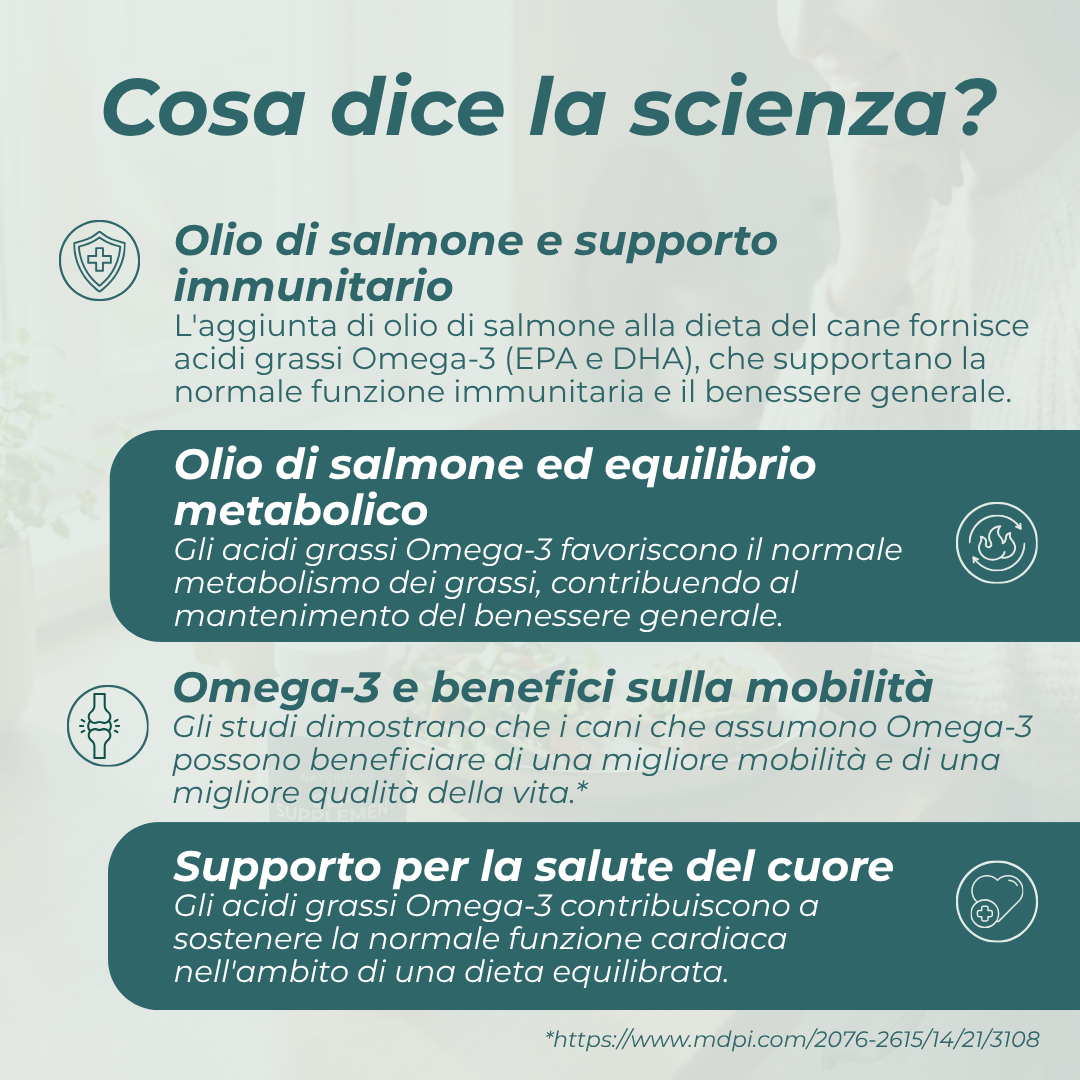 Olio di salmone per cani benefici