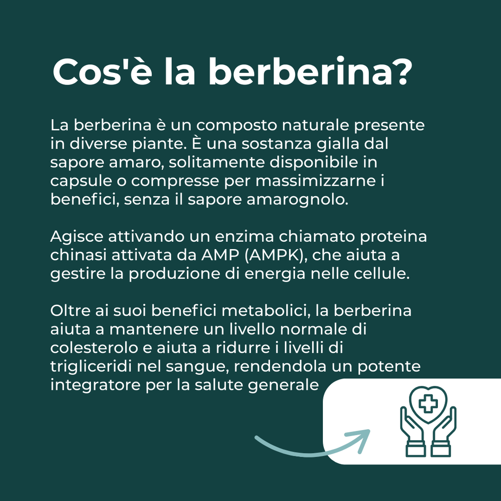 cos'è Berberina