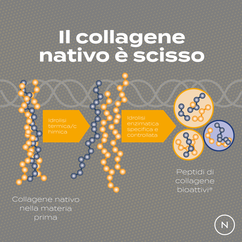 Peptidi di Collagene nativo