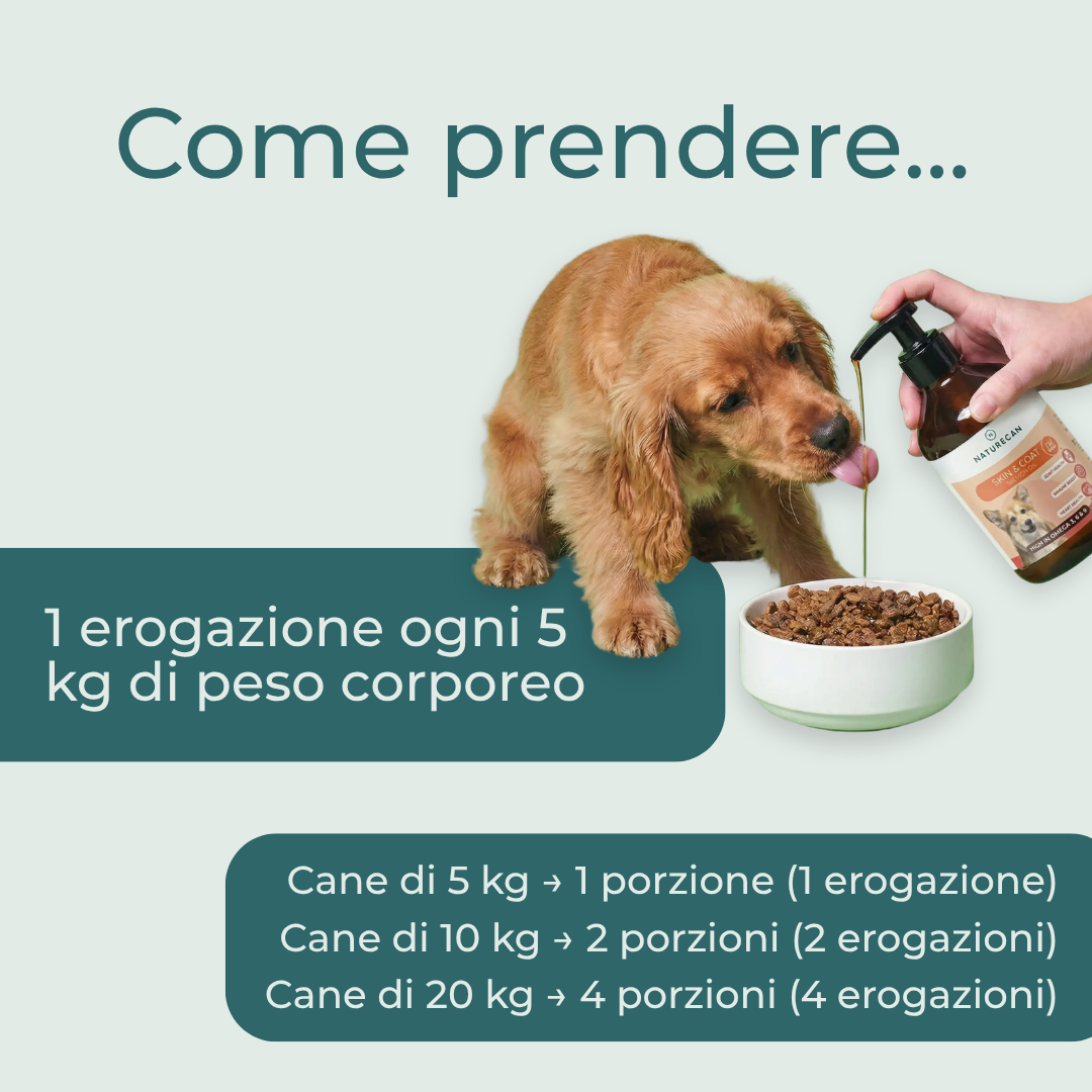Olio di salmone per cani dosaggio giornaliero