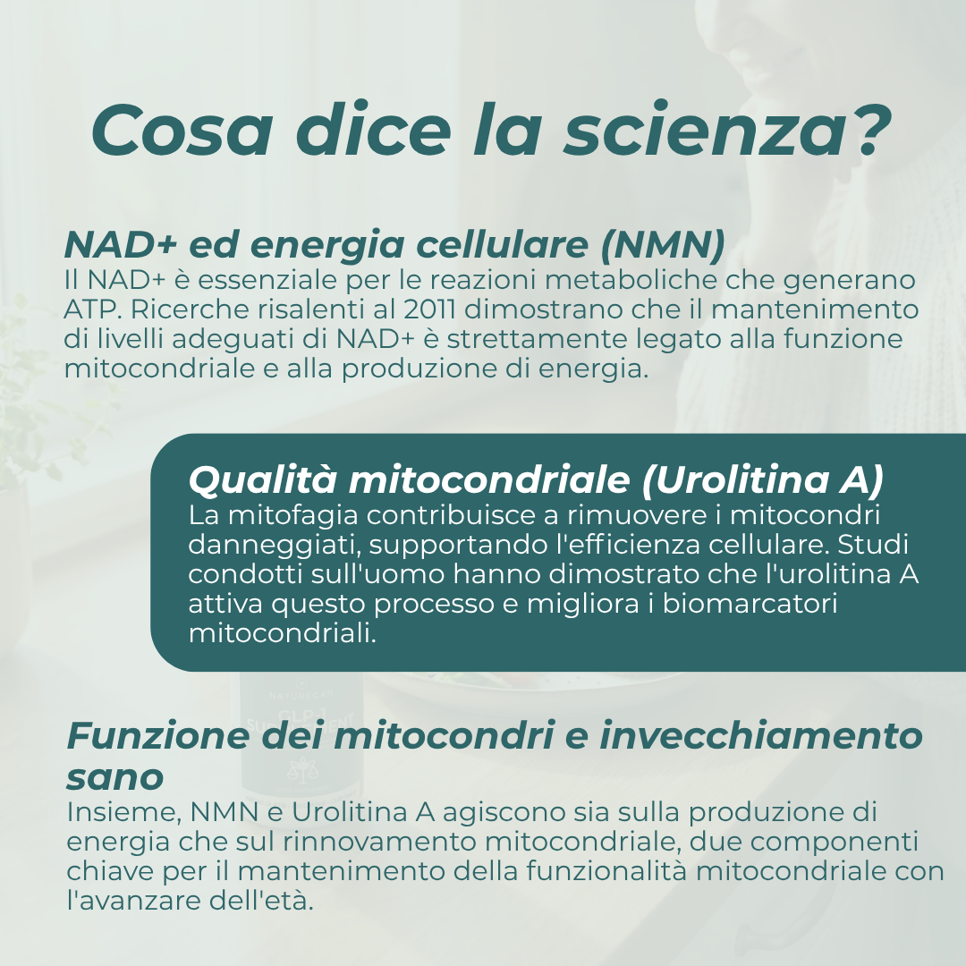  NMN e Urolitina A cosa sono