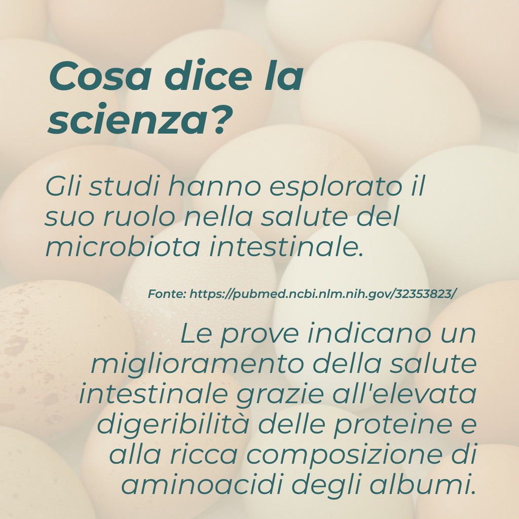 proteine in polvere albume uovo senza lattosio