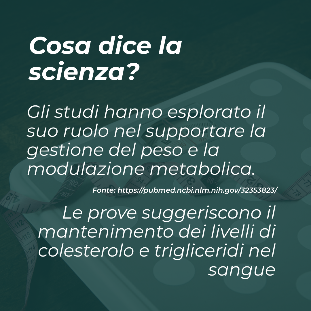 Berberina italia migliore